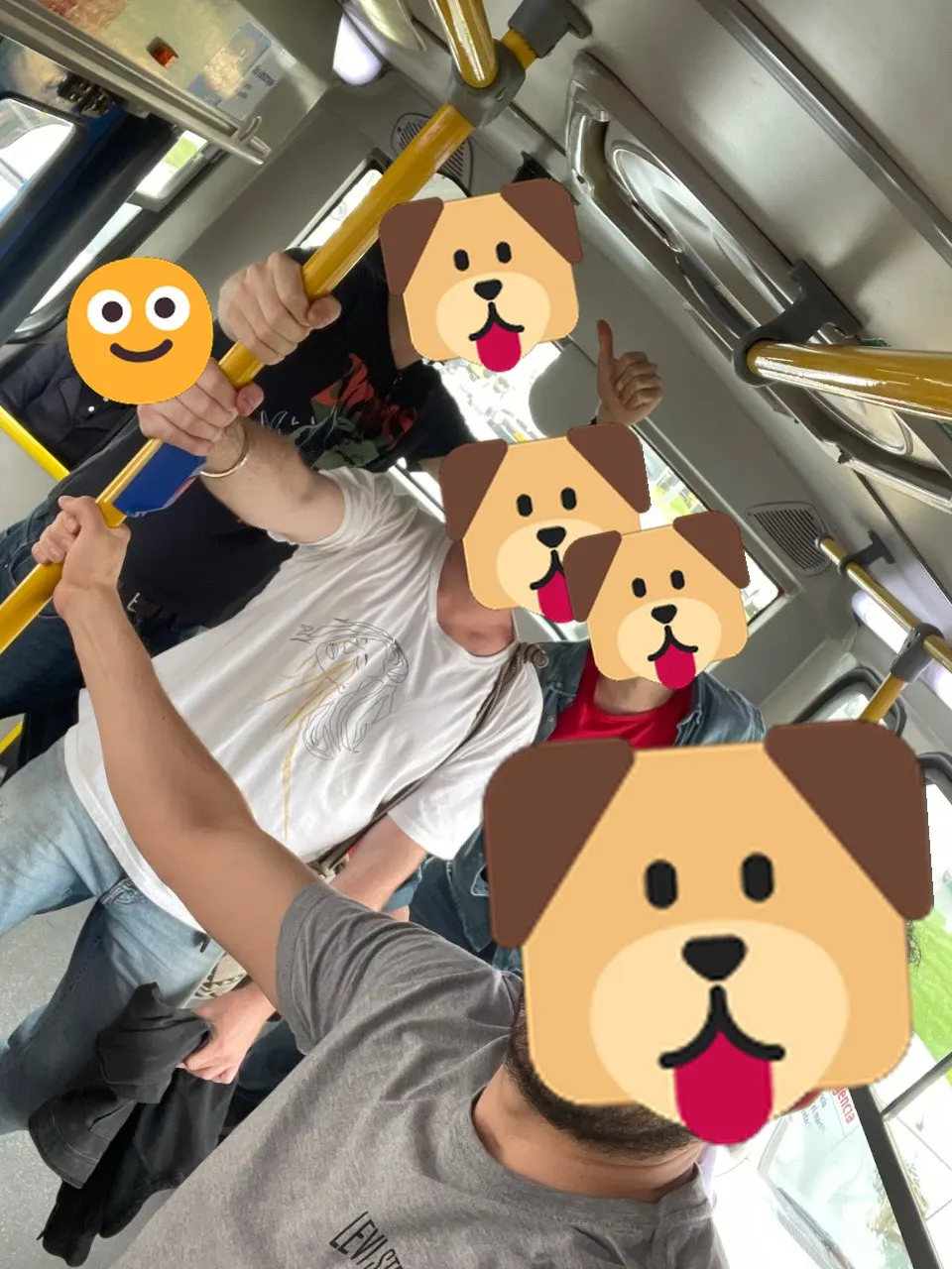 Lxs perritxs on a bus