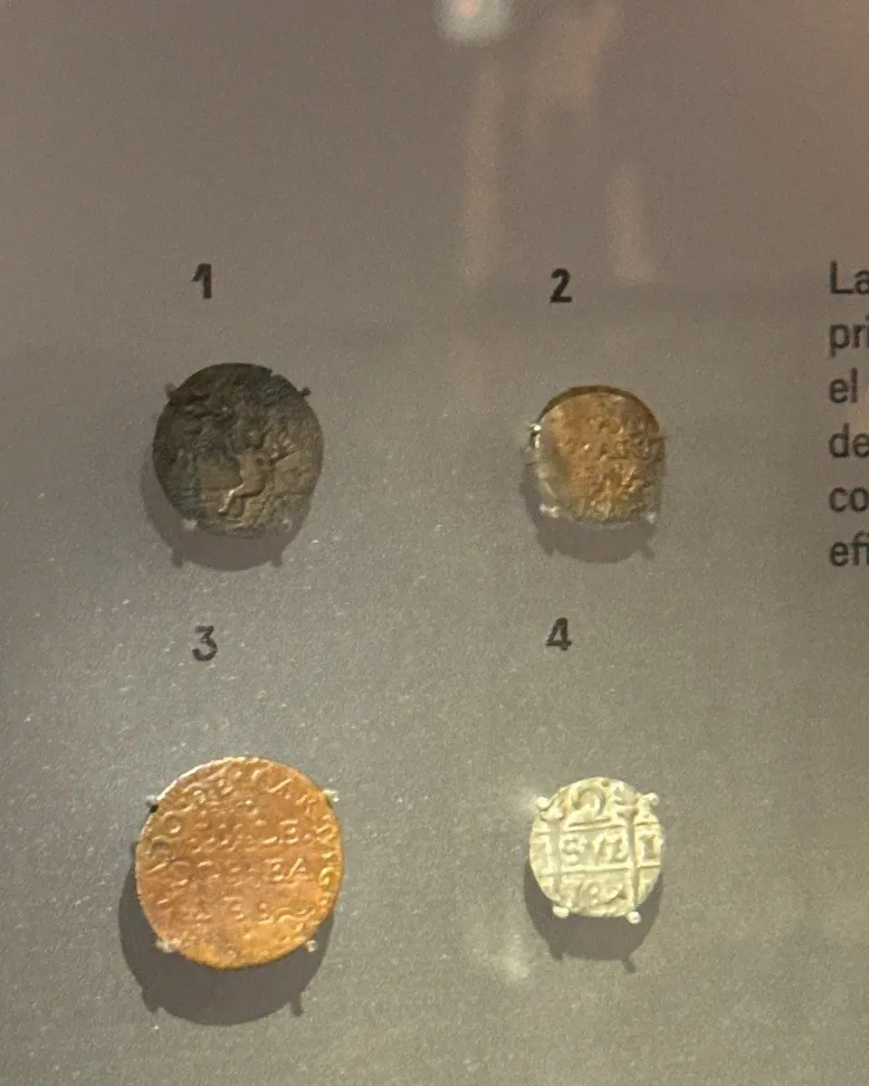 Colonial coins in a museum display case